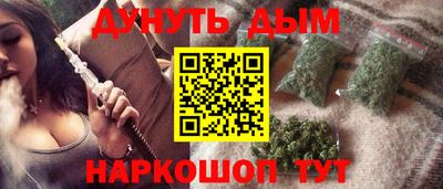 гидра Свободный