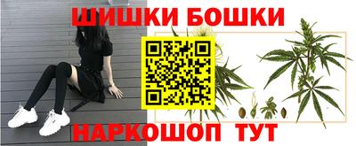 гидра Свободный