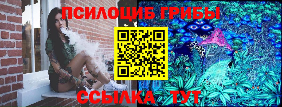Галлюциногенные грибы Cubensis Новоалександровск