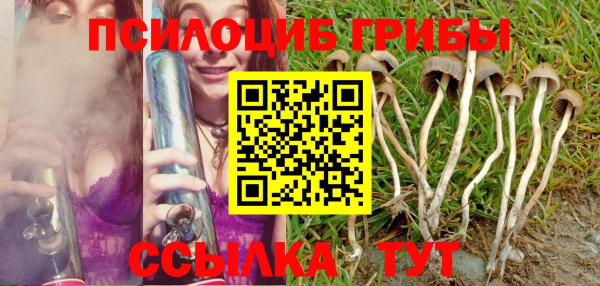 Псилоцибиновые грибы MAGIC MUSHROOMS  Вход с VPN  Новоалександровск  Галлюциногенные грибы мухоморы 